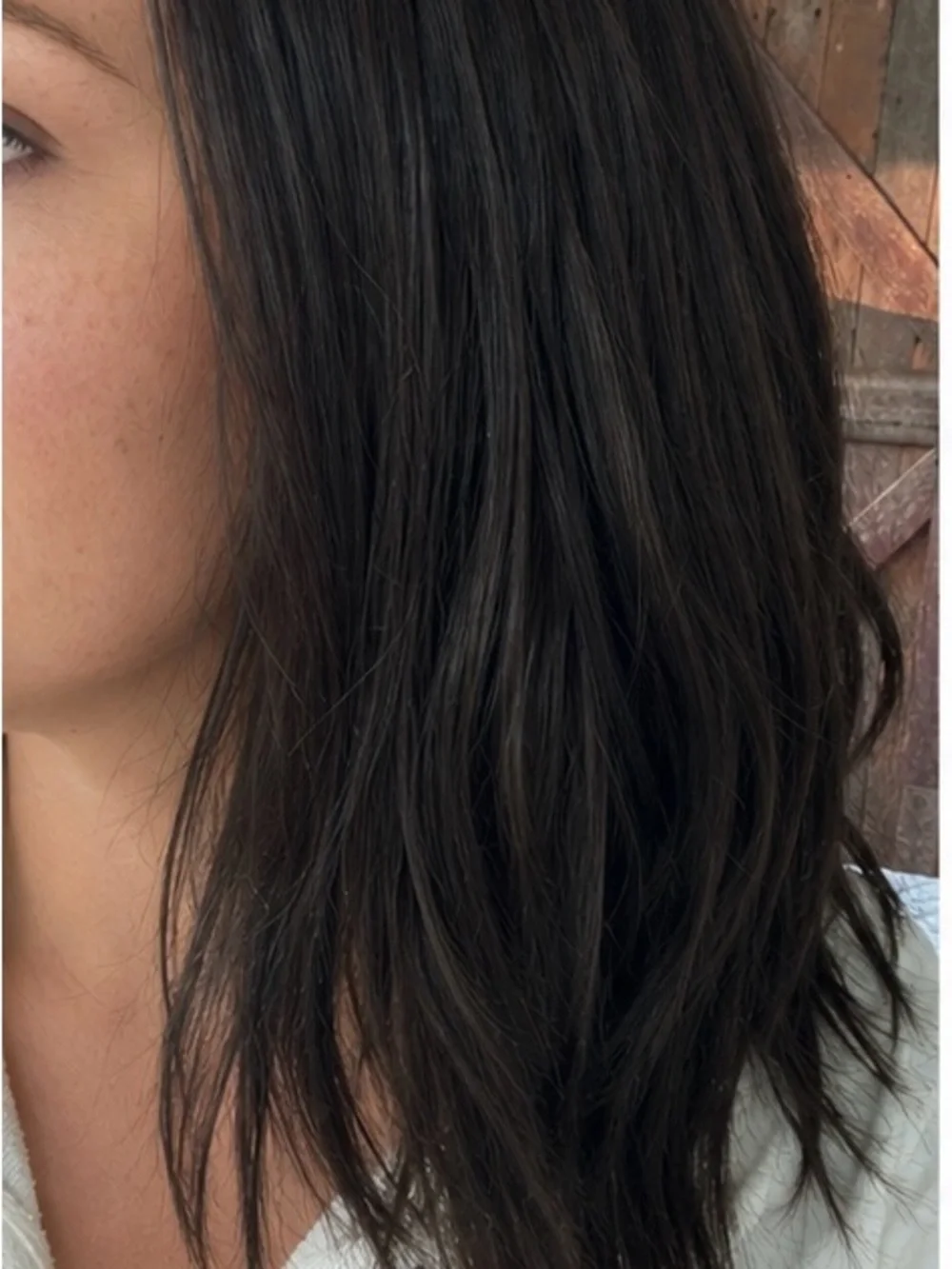 Jon Renau Dark Brown Top Coverage Wig